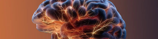 Photobiomodulation pour le cerveau - Bioledherapy