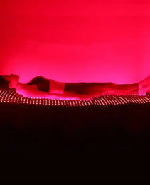 Matelas leds rouges et proches infrarouges - Bioledherapy